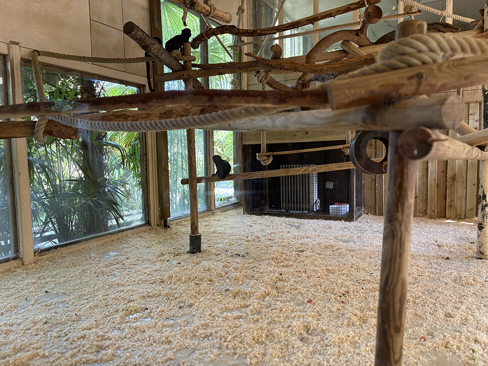 litière pour animaux des zoo